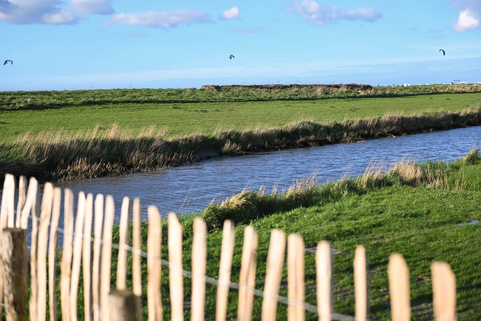 Tiny House Nature 15 Zur Meerseite - Green Tiny Village Harlesiel Carolinensiel Bagian luar foto